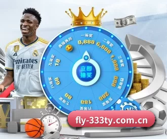 fly-333ty.com.cn APP