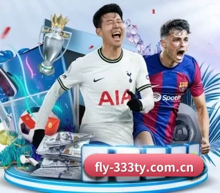 fly-333ty.com.cn APP 界面